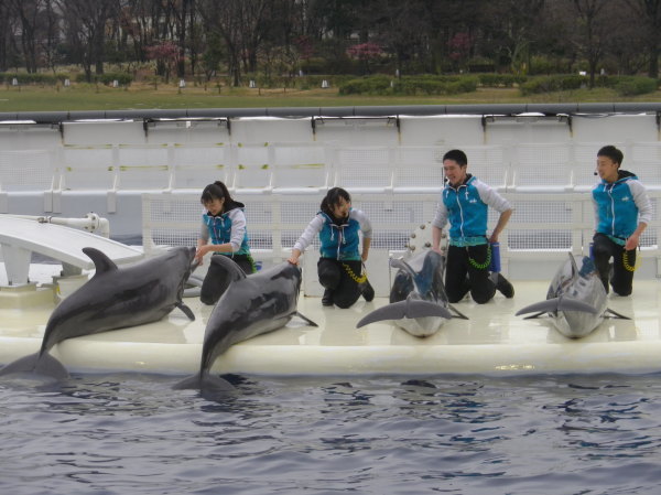 とっても可愛い♡賢いイルカさんたちのステージ♪京都水族館＊＾－＾＊♬_f0061067_10515584.jpg