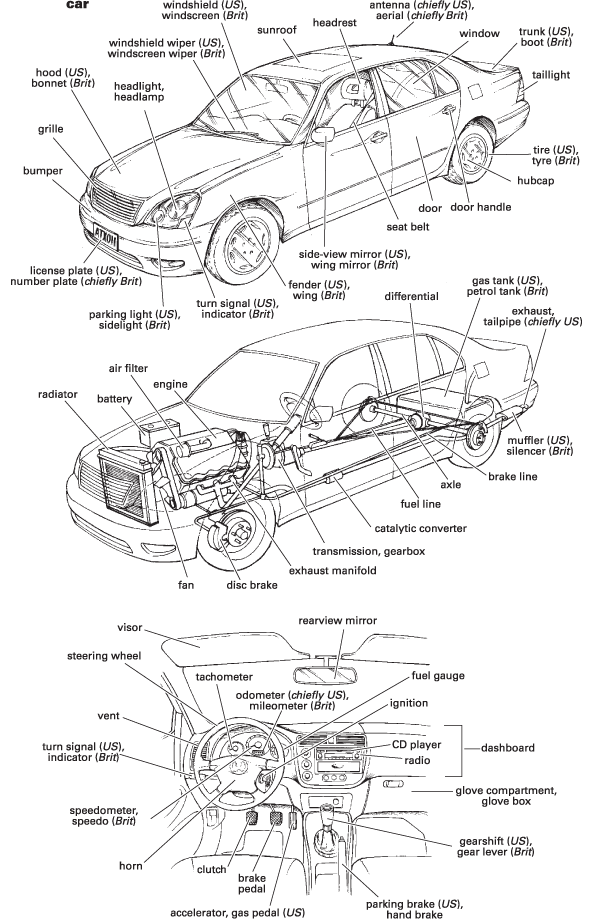 「steering wheel　　ハンドル」 > 英語例文･意味 > １万件の英語フレーズ_d0254570_11490251.gif