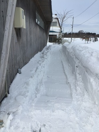 根性無しの釣行記・・2017年ワカサギ・・6回目　久しぶりのマクンベツ。_d0251572_11224090.jpg