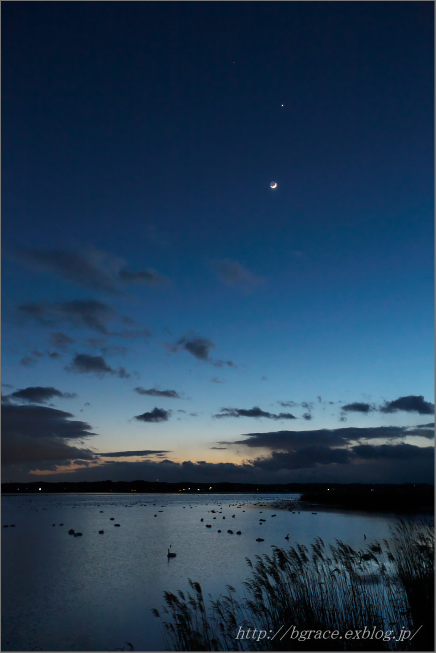 伊豆沼 細い月と金星_b0191074_2336687.jpg