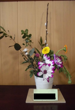 らくえんでの日常_e0191174_03511467.png