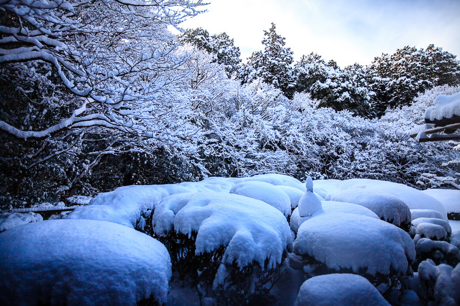 雪景色！　～詩仙堂～_b0128581_21224859.jpg