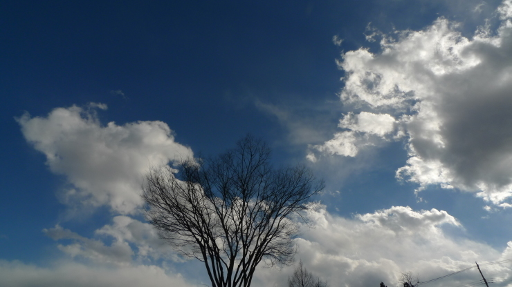 c0212083_17531142.jpg