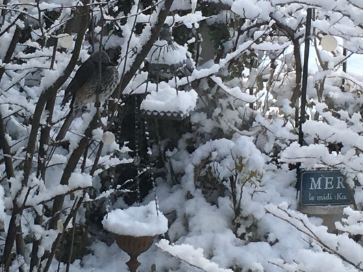 b0336787_21581595.jpeg