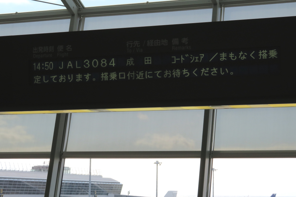 シドニー遠征 往路編 その1 那覇から成田まで_e0204891_16314472.jpg