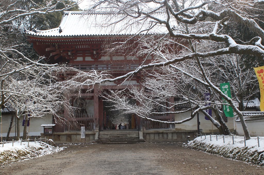 雪の醍醐寺_b0223198_18125938.jpg