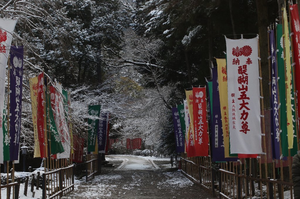 雪の醍醐寺_b0223198_18130096.jpg