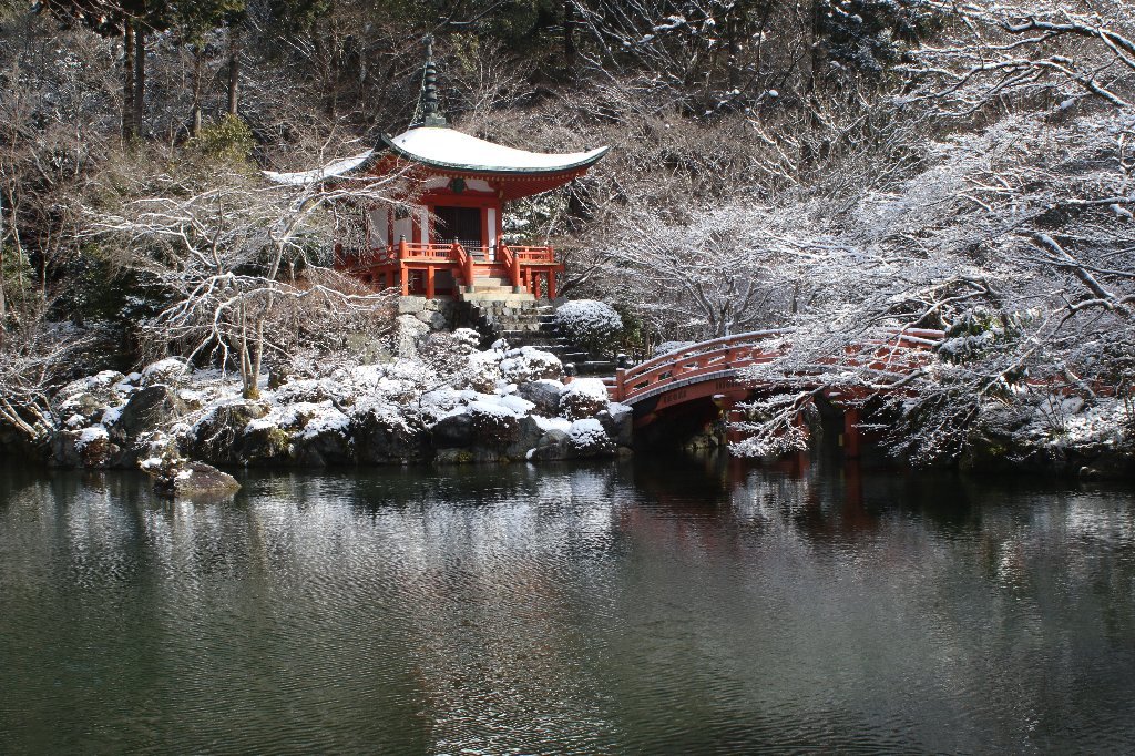 雪の醍醐寺_b0223198_18130331.jpg