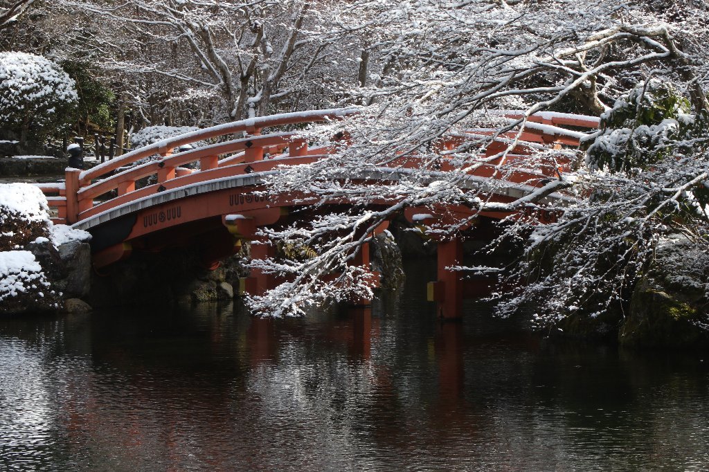 雪の醍醐寺_b0223198_18130362.jpg