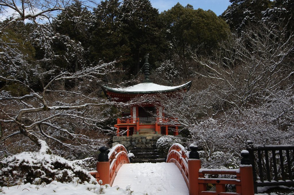 雪の醍醐寺_b0223198_18130450.jpg