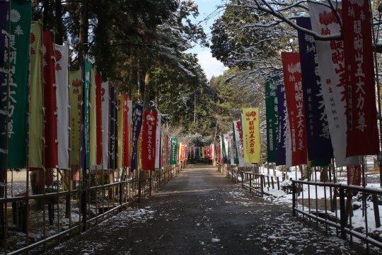 雪の醍醐寺_b0223198_18130575.jpg