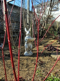 c0117898_19131161.jpg