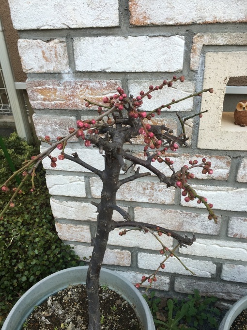 d0269898_14272447.jpeg