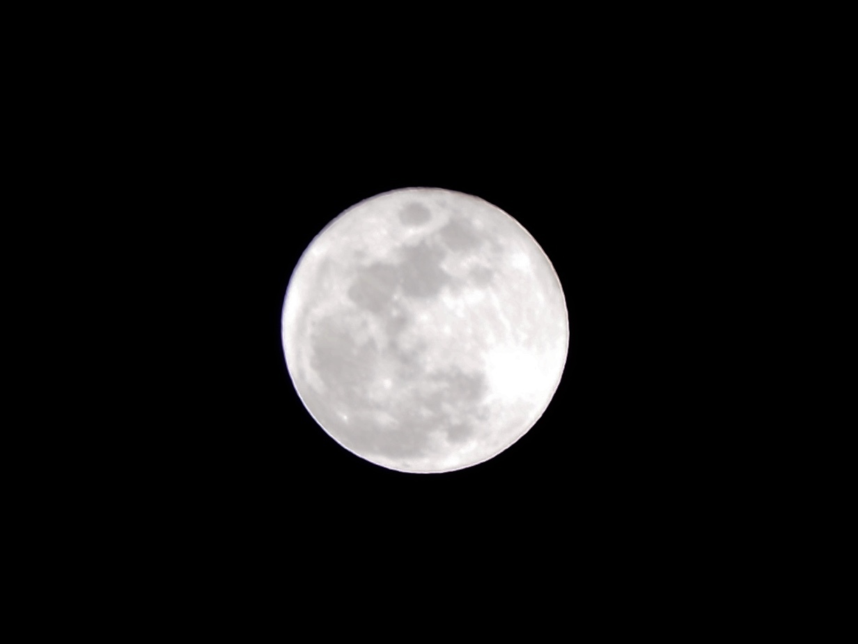 c0362401_11444671.jpg