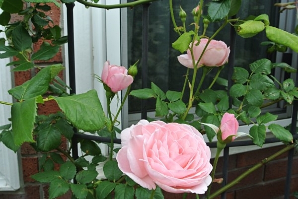 e0298801_12494578.jpg