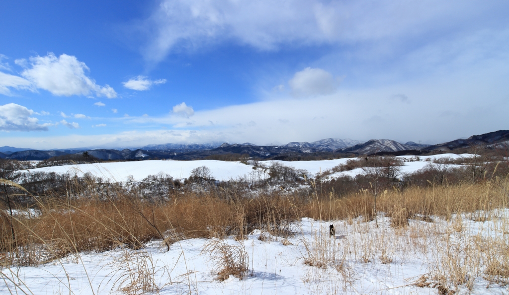 2017.02.11 Mt.Kabasawa(313m）_b0050305_12161211.jpg