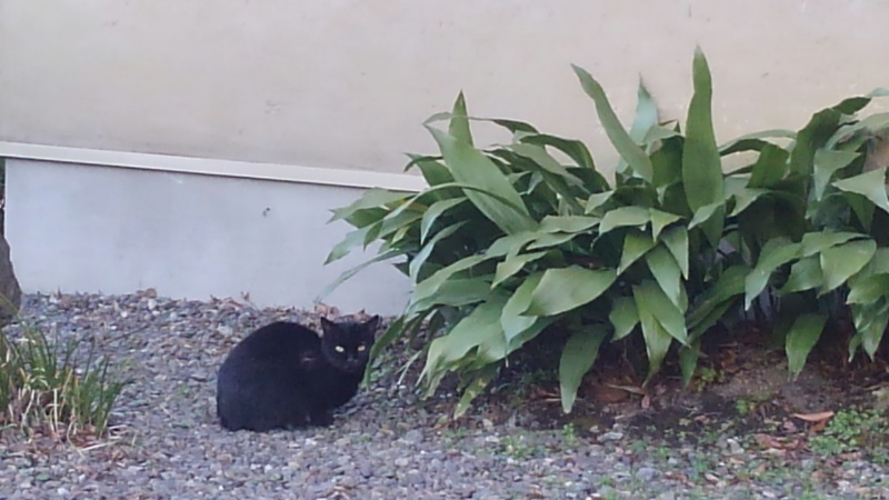 うきは市吉井町アート散策3 ぶどうのたね 編_f0351305_21070127.jpg