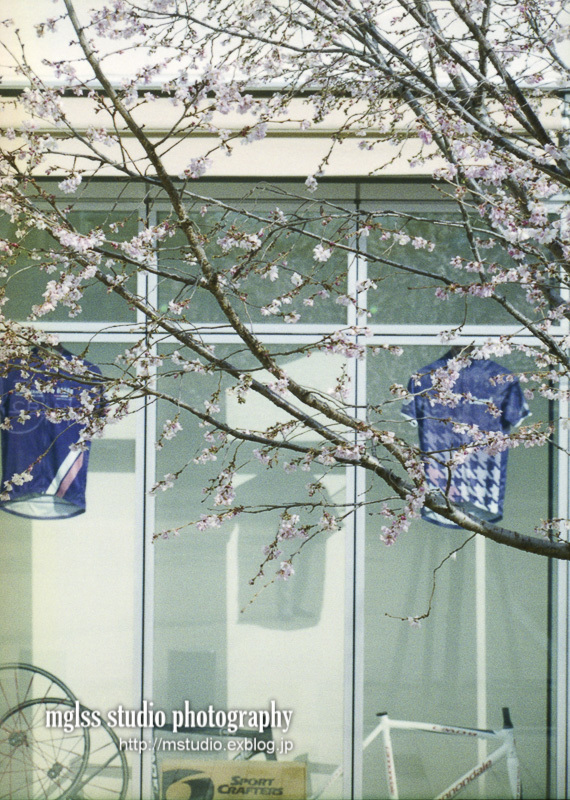 Olympus Pen-FTの試写 : mglss studio photography blog