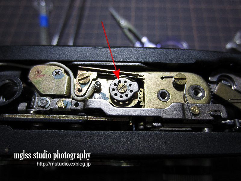 Olympus Pen-FTの試写 : mglss studio photography blog