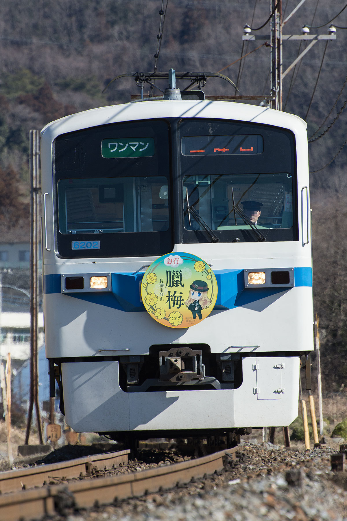 秩父鉄道 6000系 / 6002F - 急行ロウバイ号 - : SKY LOUNGE