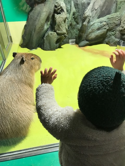 a0341110_05483549.jpeg