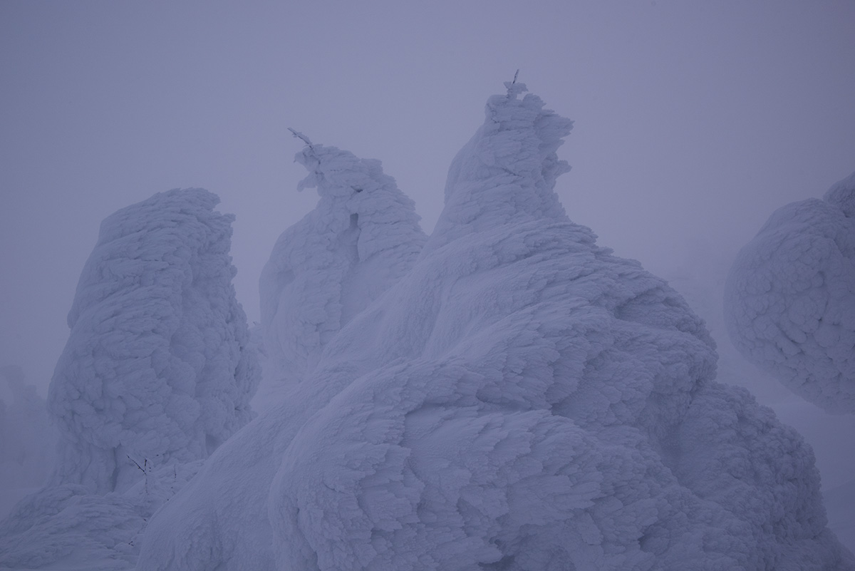 大雪警報の中蔵王へ #PENTAX K-1 #Nikon D810A_c0065410_1482888.jpg