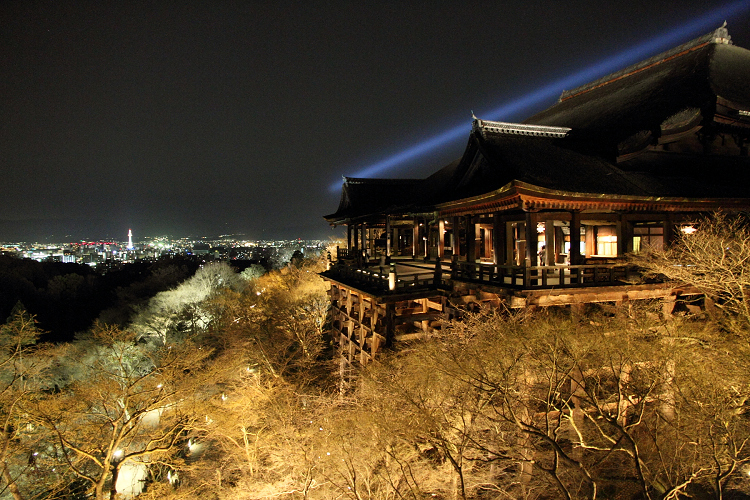 京都回顧 東山花灯路2010－清水寺～禿 庵－ _b0169330_840762.jpg