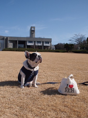 ｽﾄｲｯｸな愛犬(\'_\')_a0148431_10230290.jpg