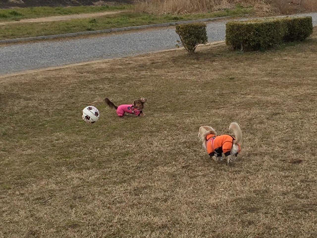 c0117831_10171480.jpg