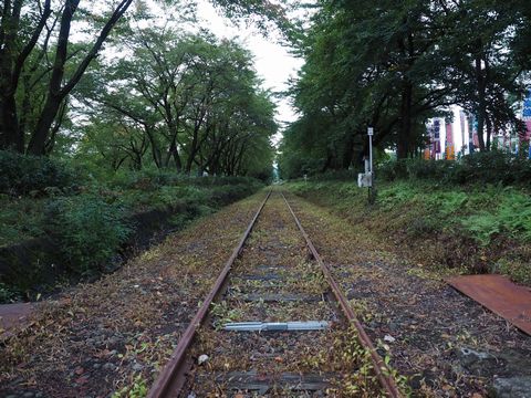 b0042334_1429692.jpg