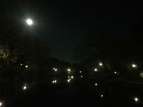 f0327534_09235627.jpg