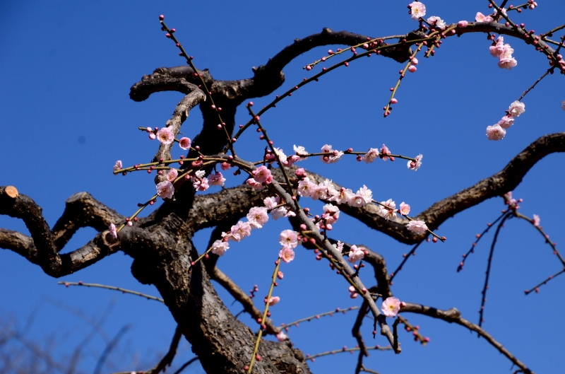 根岸森林公園_c0220040_22381599.jpg