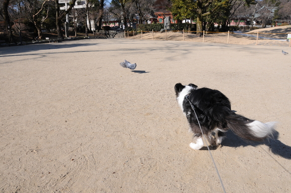 c0147241_1664164.jpg