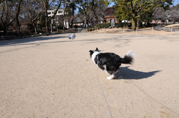 c0147241_1665929.jpg