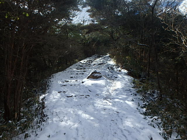 f0334143_21251691.jpg