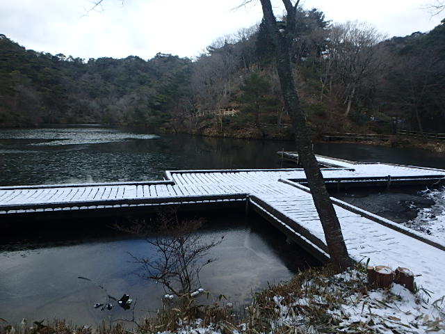 f0334143_21265894.jpg