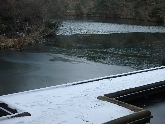 f0334143_21271692.jpg