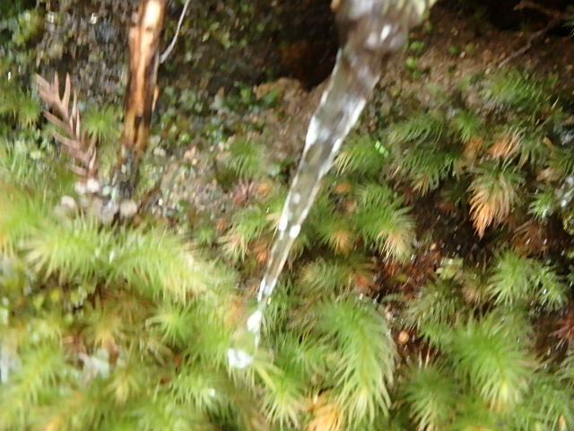 f0334143_21293479.jpg