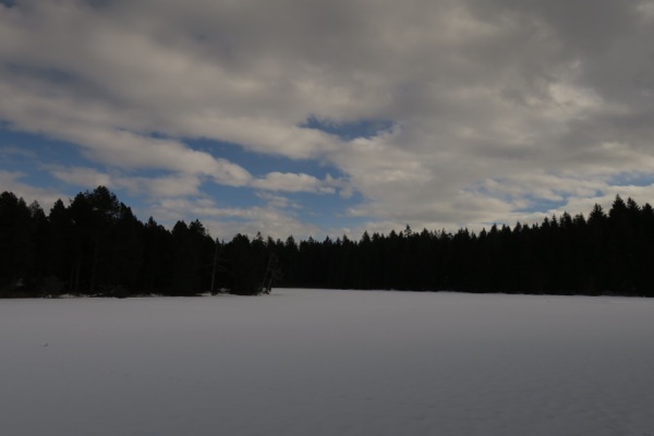 La Chaux des Breuleux- Etang de la Gruère- Saignelégier_e0356046_22172855.jpg