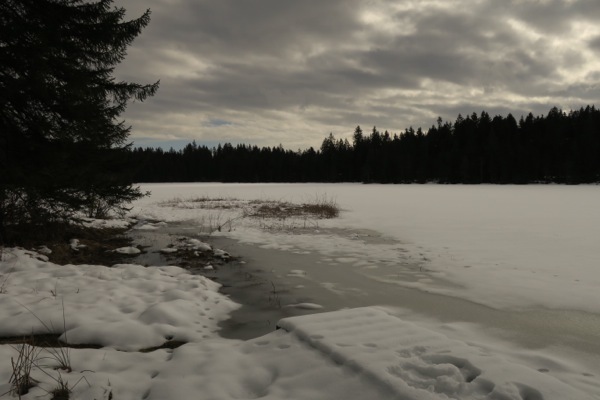 La Chaux des Breuleux- Etang de la Gruère- Saignelégier_e0356046_22180914.jpg