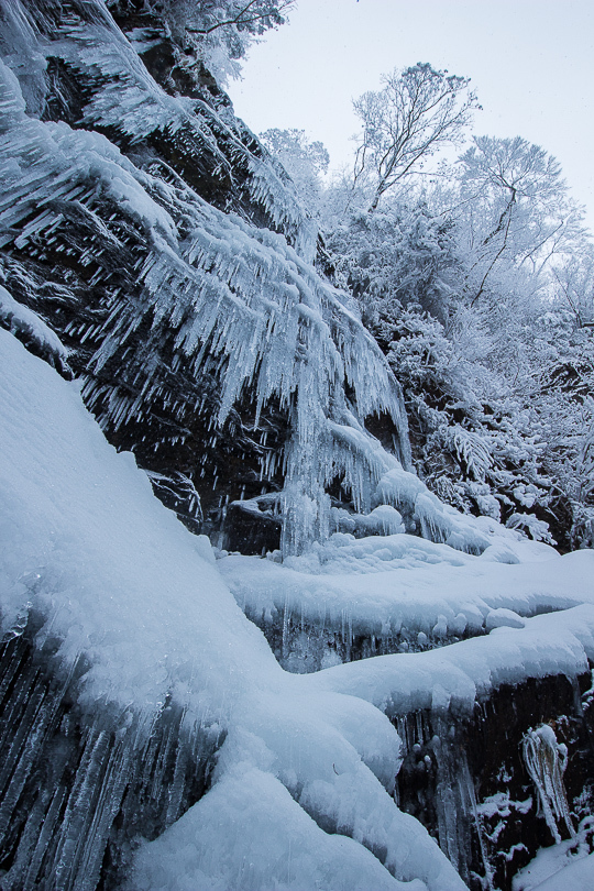 雪の英彦山_f0316348_10590075.jpg