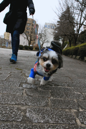 c0145250_09473356.gif