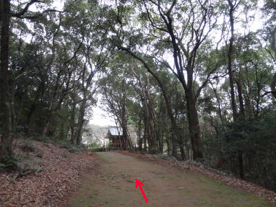 e0033751_17481349.jpg