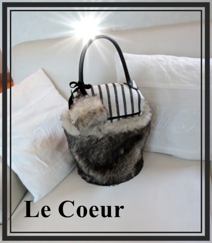 新しいファーBAG 失敗かも・・・_f0305451_7543862.jpg