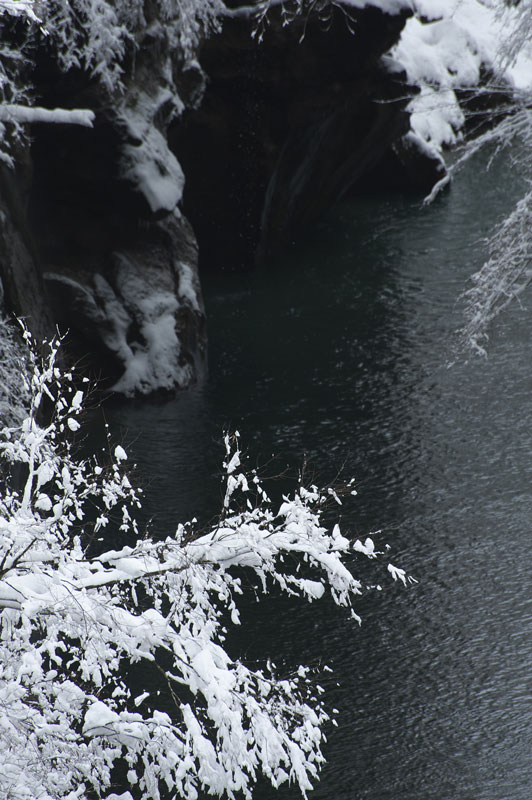 d0342652_14132555.jpg