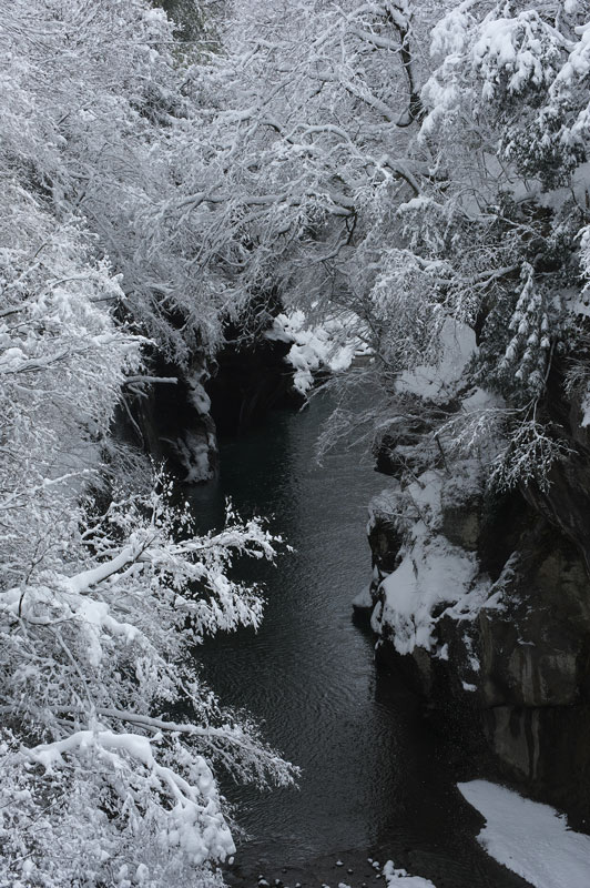 d0342652_14135072.jpg