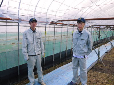 熊本ぶどう　社方園　ハウスの内張りと熊本農業高校からの農業実習（2017）前編_a0254656_17525729.jpg