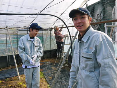 熊本ぶどう　社方園　ハウスの内張りと熊本農業高校からの農業実習（2017）前編_a0254656_18324277.jpg