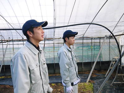 熊本ぶどう　社方園　ハウスの内張りと熊本農業高校からの農業実習（2017）前編_a0254656_18371841.jpg