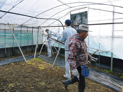 熊本ぶどう　社方園　ハウスの内張りと熊本農業高校からの農業実習（2017）前編_a0254656_18432070.jpg